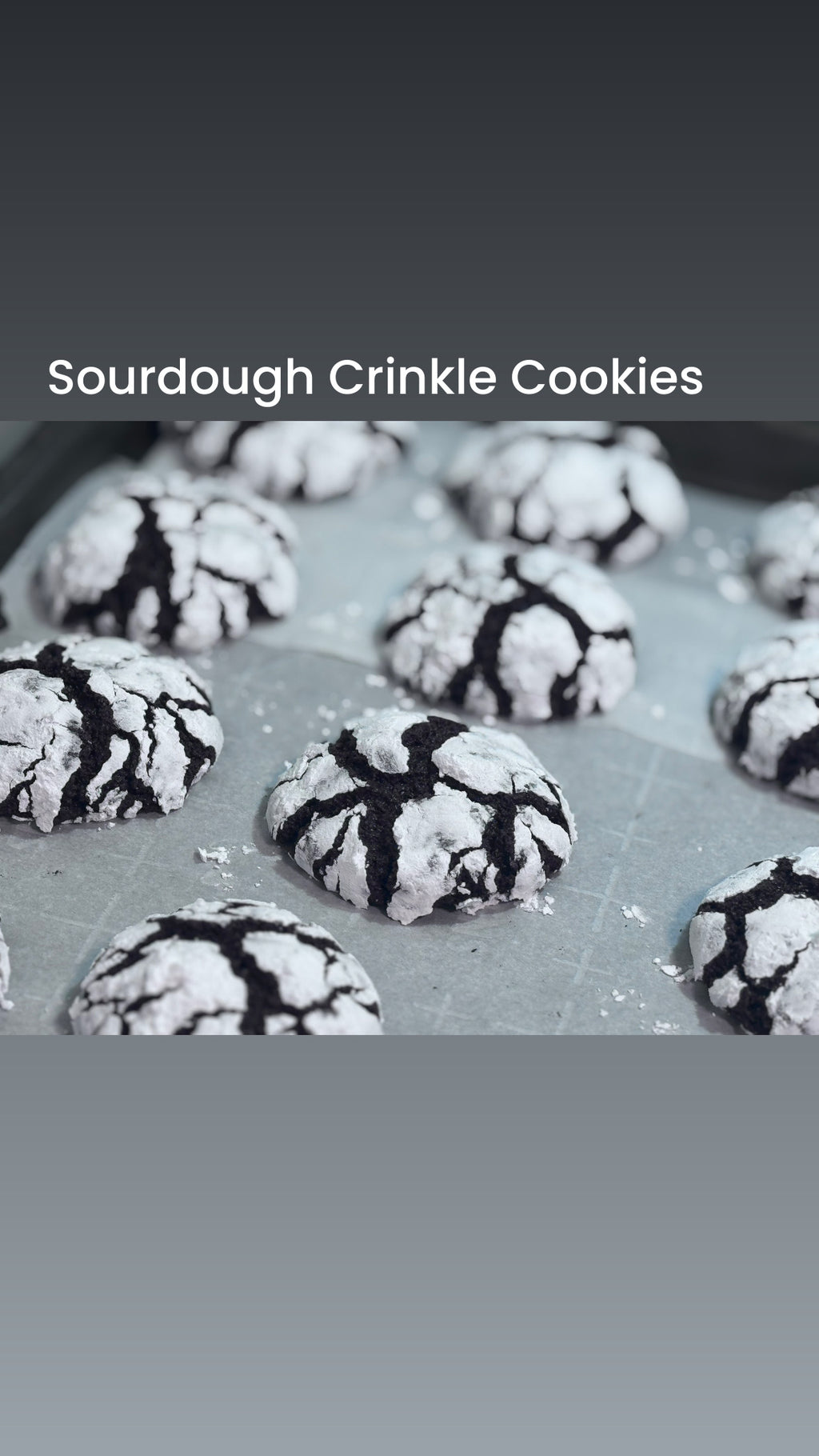 Chocolate Crinkle Sourdough Cookies | 6pk