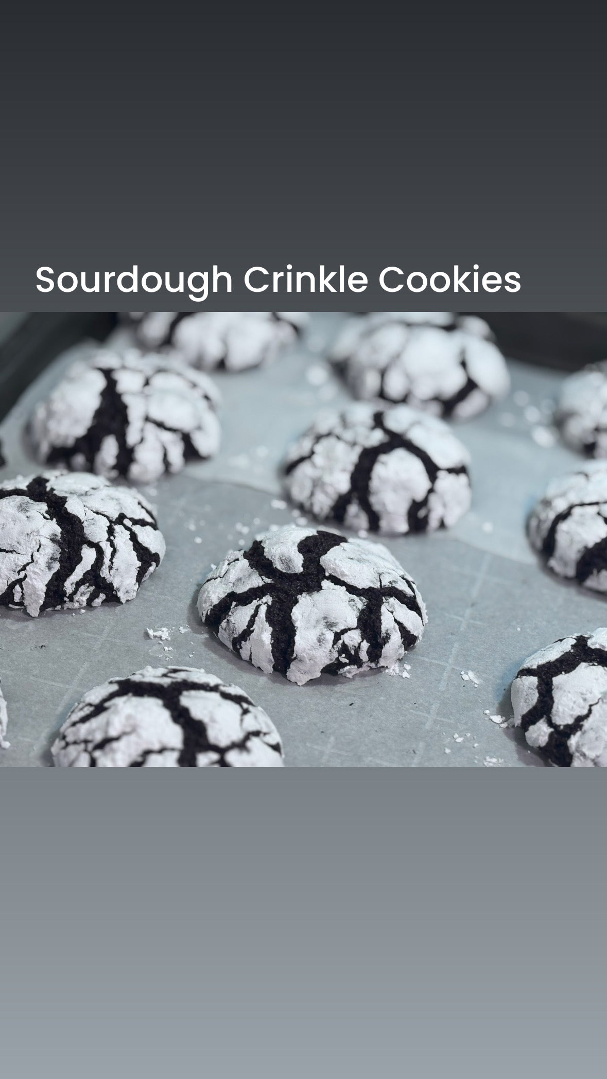 Chocolate Crinkle Sourdough Cookies | 6pk